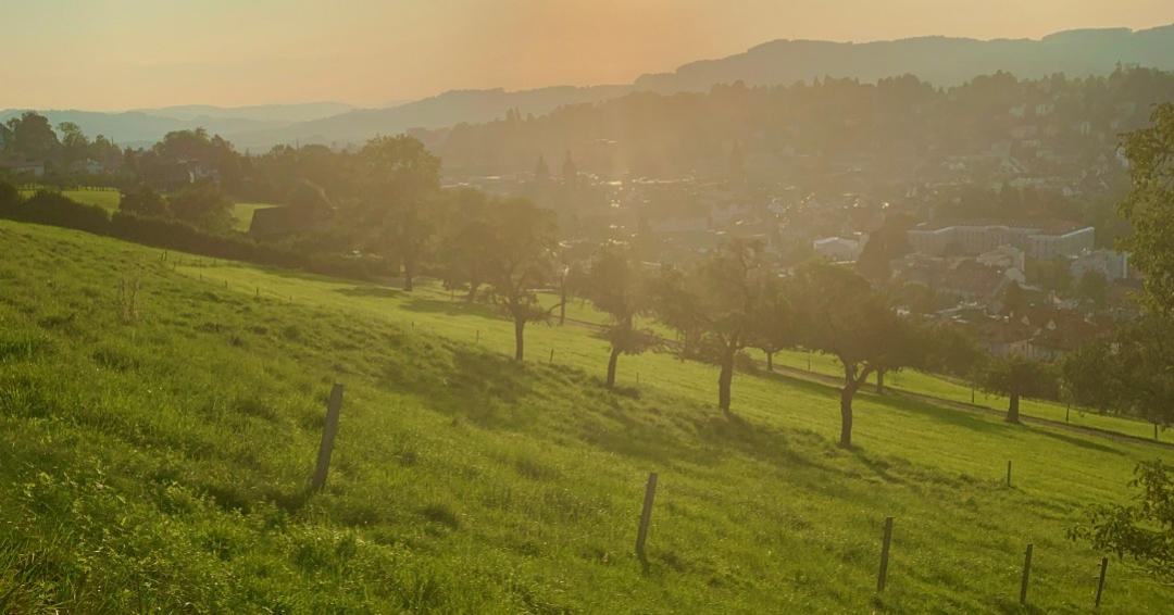 Blick von Dreiweieren auf St.Gallen